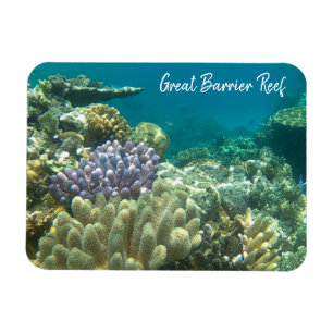 Magnet Flexible grand corail de barrière