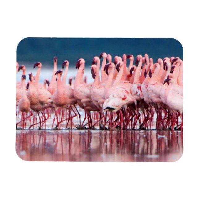 Magnet Flexible Grand Groupe De Petits Flamants (Horizontal)