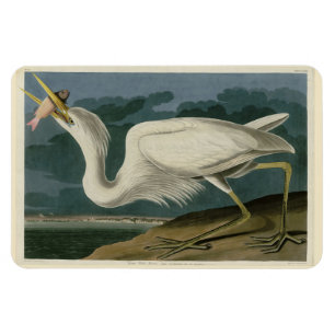 Magnet Flexible Grand héron blanc, des oiseaux d'Amérique d'Audubo