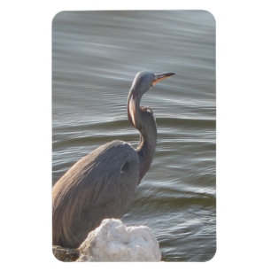 Magnet Flexible Grande Aigrette au bord de l'eau