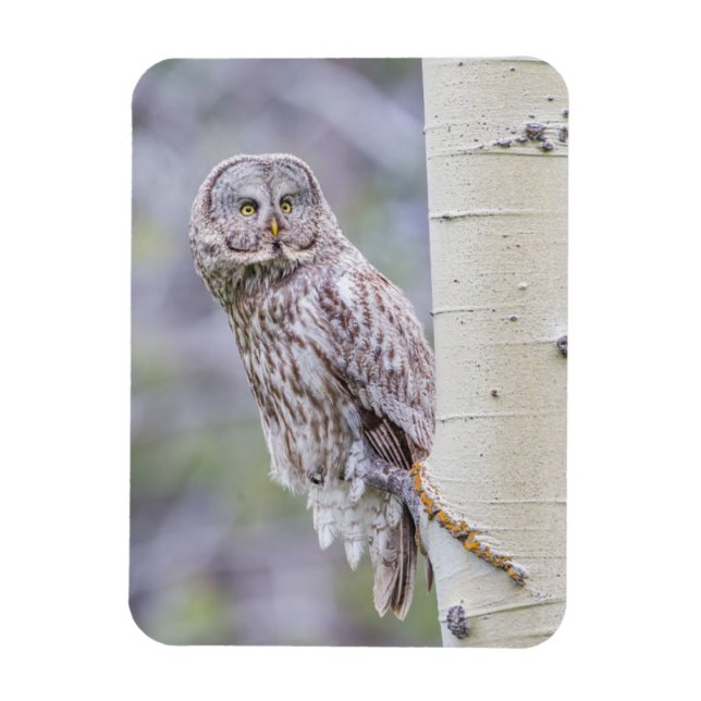 Magnet Flexible Grande branche de tremble gris (Vertical)