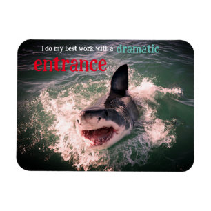 Magnet Flexible Grande brèche de requin blanc