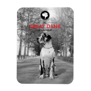 Magnet Flexible Grande carte graphique Dane