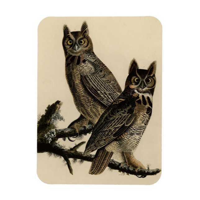 Magnet Flexible Grande Chouette à la corne des oiseaux d'Amérique  (Vertical)