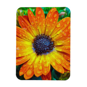 Magnet Flexible Grande Fleur d'or près