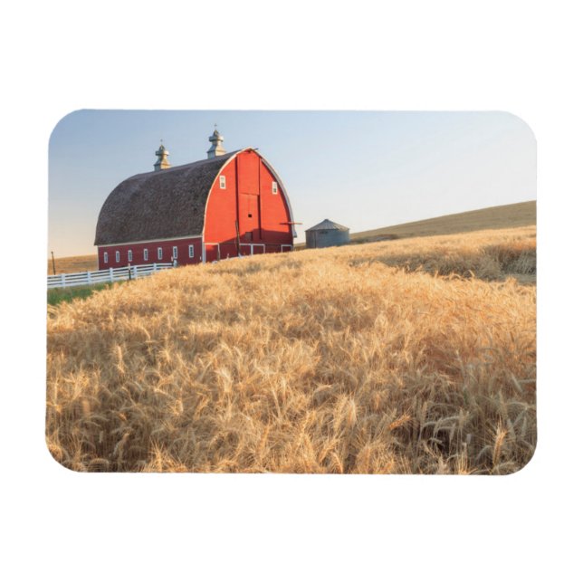 Magnet Flexible Grange, champs de blé d'été près de Sprague, Est 1 (Horizontal)