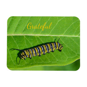 Magnet Flexible Gratitude de l'amour de la nature