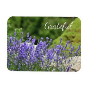 Magnet Flexible Gratitude florale pourpre