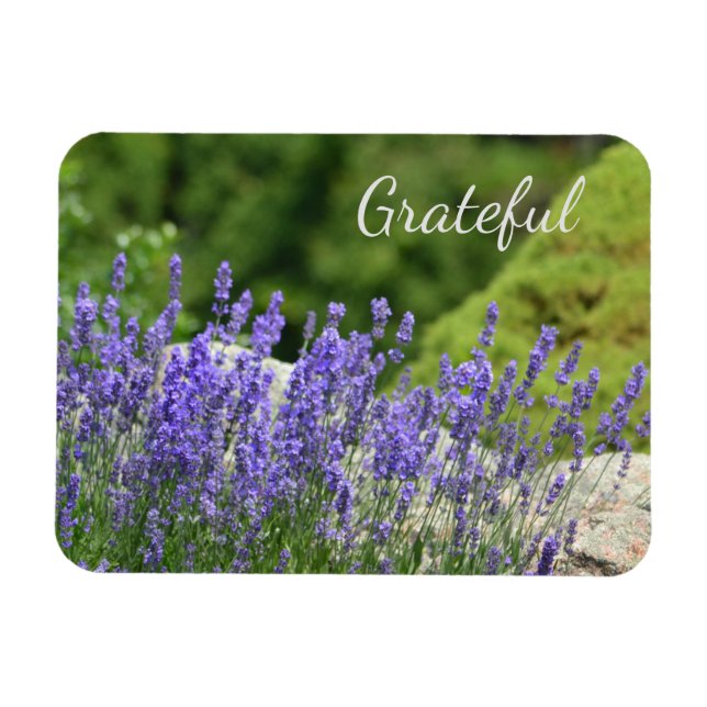 Magnet Flexible Gratitude florale pourpre (Horizontal)