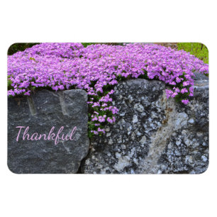 Magnet Flexible Gratitude Rock Garden