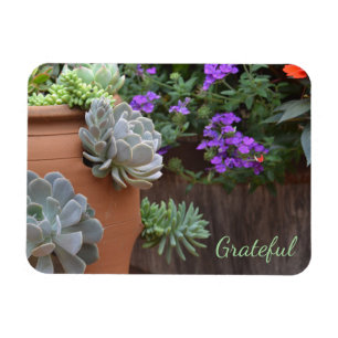 Magnet Flexible Gratitude Succulente