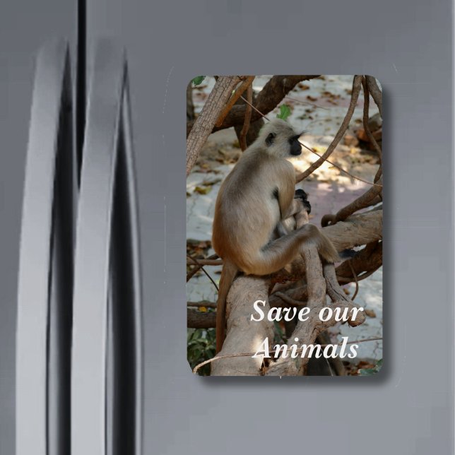 Magnet Flexible Gray Langur - Repose-toi (Créateur téléchargé)