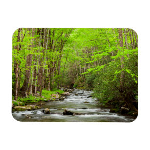 Magnet Flexible Great Smoky Mountains National Park Caroline du No