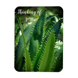Magnet Flexible Green Sea Leaf Garden Plante Penser à vous