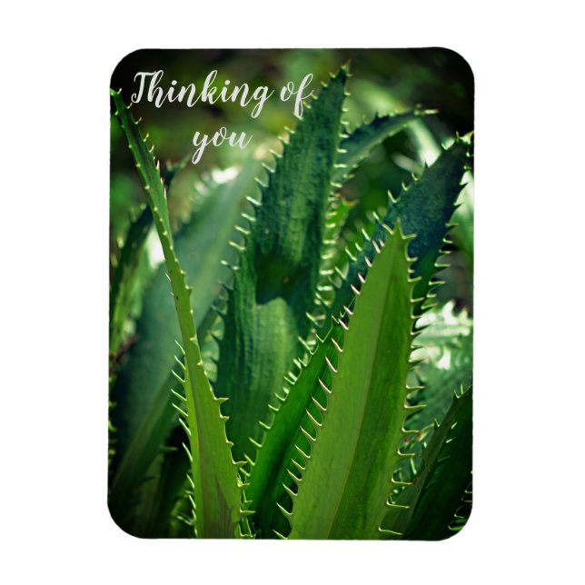 Magnet Flexible Green Sea Leaf Garden Plante Penser à vous (Vertical)