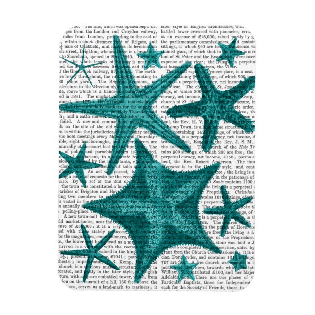 Magnet Flexible Green Starfish Collection 2 (Vertical)