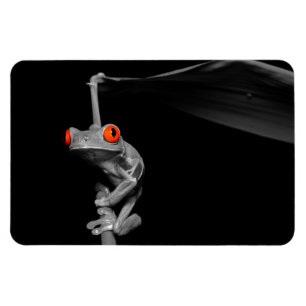Magnet Flexible Grenouille d'arbre observée par rouge