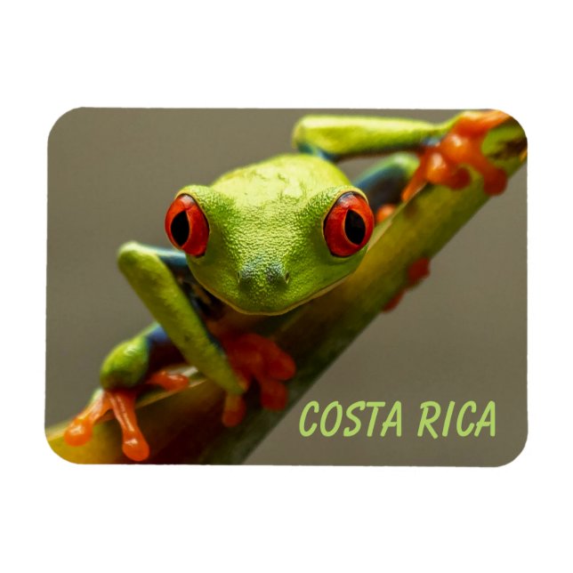 Magnet Flexible Grenouille d'arbre vous regardez au Costa Rica (Horizontal)