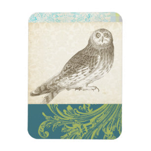 Magnet Flexible Grey Owl sur Arrière - plan Motif