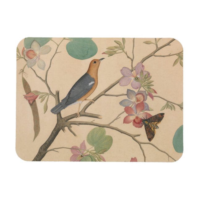 Magnet Flexible Grive au sol et papillon sur une branche d'orchidé (Horizontal)