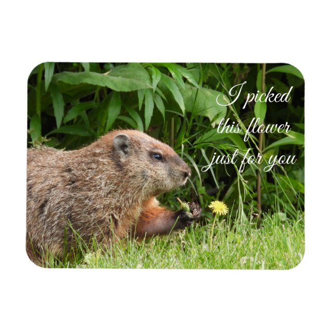 Magnet Flexible Groundhog aka Woodchuck avec Flower (Horizontal)
