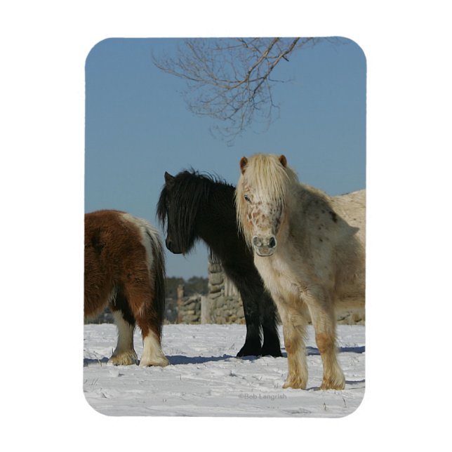 Magnet Flexible Groupe de Chevaux miniatures dans la neige (Vertical)