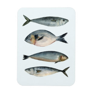 Magnet Flexible Groupe des quatre poissons