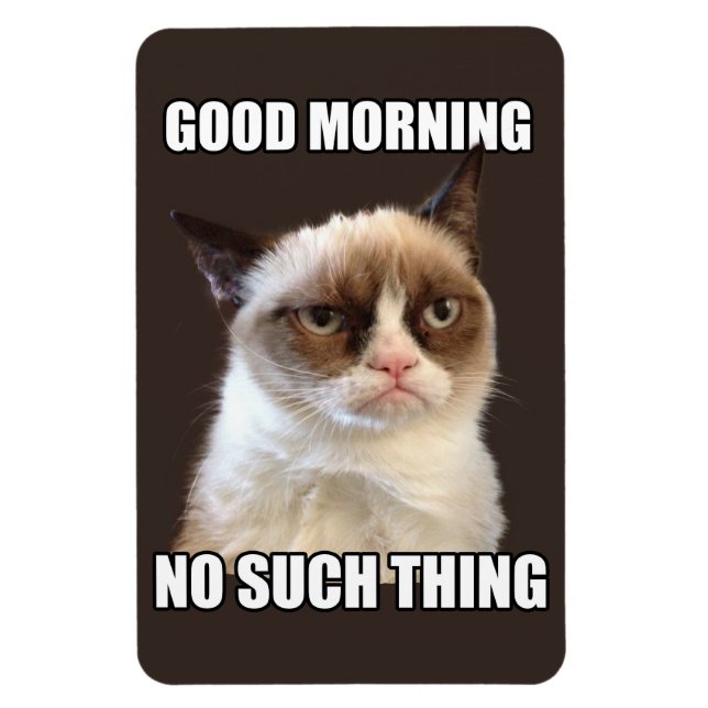 Magnet Flexible Grumpy chat aimant flexible (Vertical)