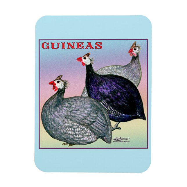 Magnet Flexible Guineas Trois Fowl (Vertical)
