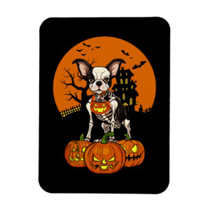 Magnet Flexible Halloween Boston Terrier Dog