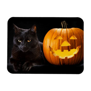 Magnet Flexible Halloween citrouille et chat noir