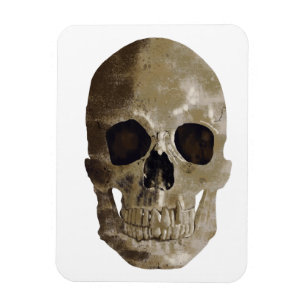 Magnet Flexible Halloween crâne grungy