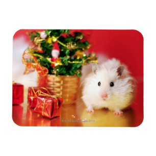 Magnet Flexible Hamster Kokolinka avec arbre de Noël