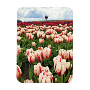 Magnet Flexible Happy Generation Tulip Field, Oregon