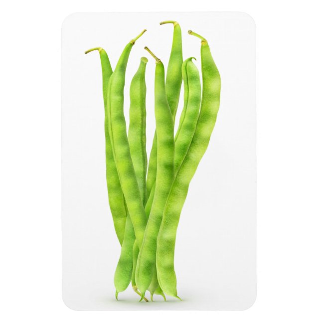 Magnet Flexible Haricots verts (Vertical)
