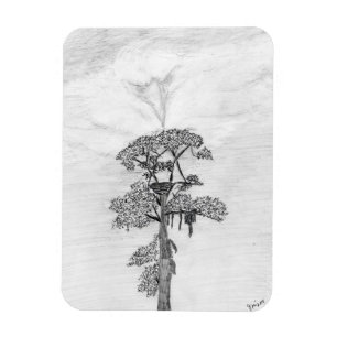 MAGNET FLEXIBLE HARRIET M ACCUEIL HISTOIRE DE L'ARBRE FAMILIAL OZZ