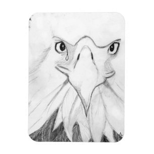 Magnet Flexible HARRIET OZZIE M15 Es ACCUEIL HISTOIRE DE LA FAMILL