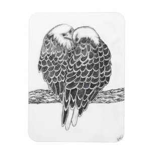 MAGNET FLEXIBLE HARRIET OZZIE M ACCUEIL HISTOIRE DE LA FAMILLE ARB