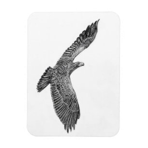 MAGNET FLEXIBLE HARRIET OZZIE M ACCUEIL HISTOIRE DE LA FAMILLE ARB