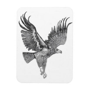 MAGNET FLEXIBLE HARRIET OZZIE M ACCUEIL HISTOIRE DE L'ARBRE FAMILI