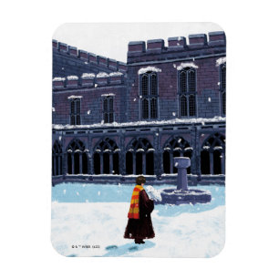 Magnet Flexible HARRY POTTER™ et Hedwig dans la cour de HOGWARTS™