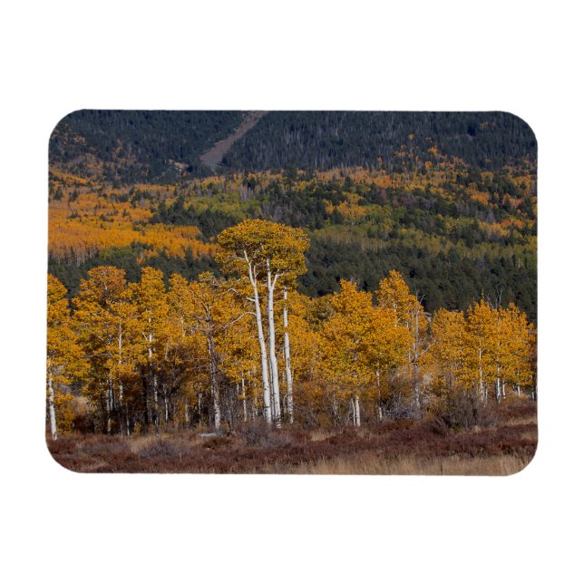 Magnet Flexible Hart Prairie (Horizontal)