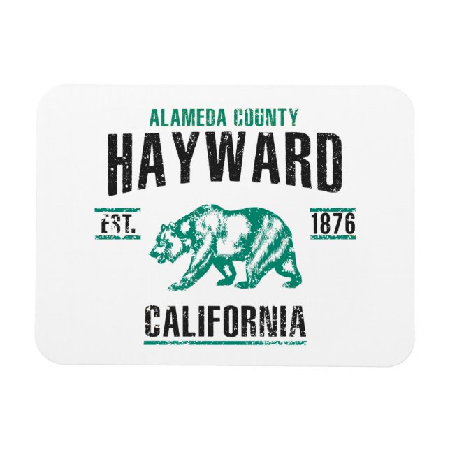 Magnet Flexible Hayward (Horizontal)