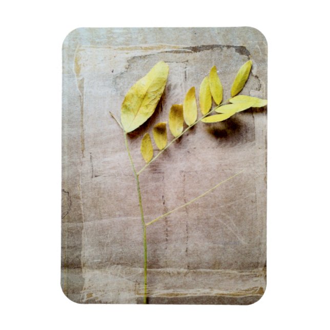 Magnet Flexible Herbarium V (Vertical)