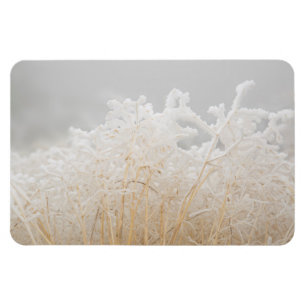 Magnet Flexible Herbes d'hiver givré