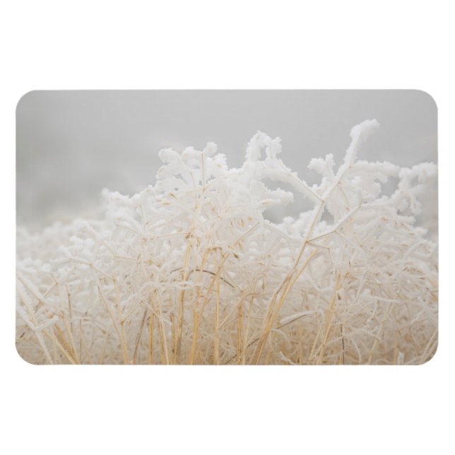 Magnet Flexible Herbes d'hiver givré (Horizontal)