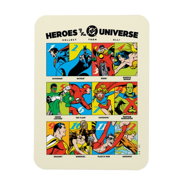 Magnet Flexible Héros de l'univers DC™ (Vertical)