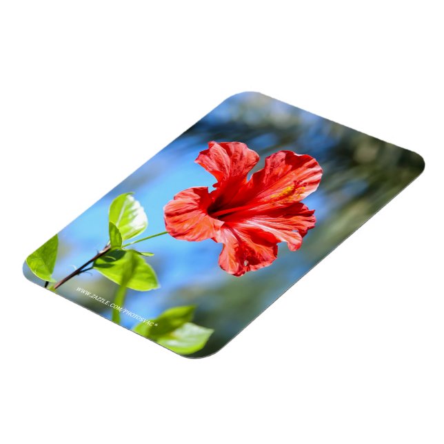 Magnet Flexible Hibiscus rouge (Côté Gauche)