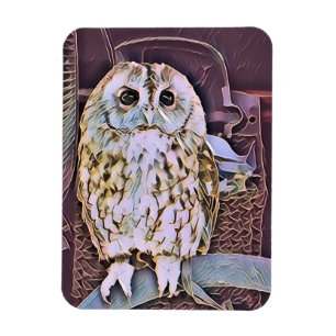 MAGNET FLEXIBLE HIBOU