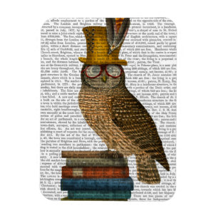 Magnet Flexible Hibou sur des livres